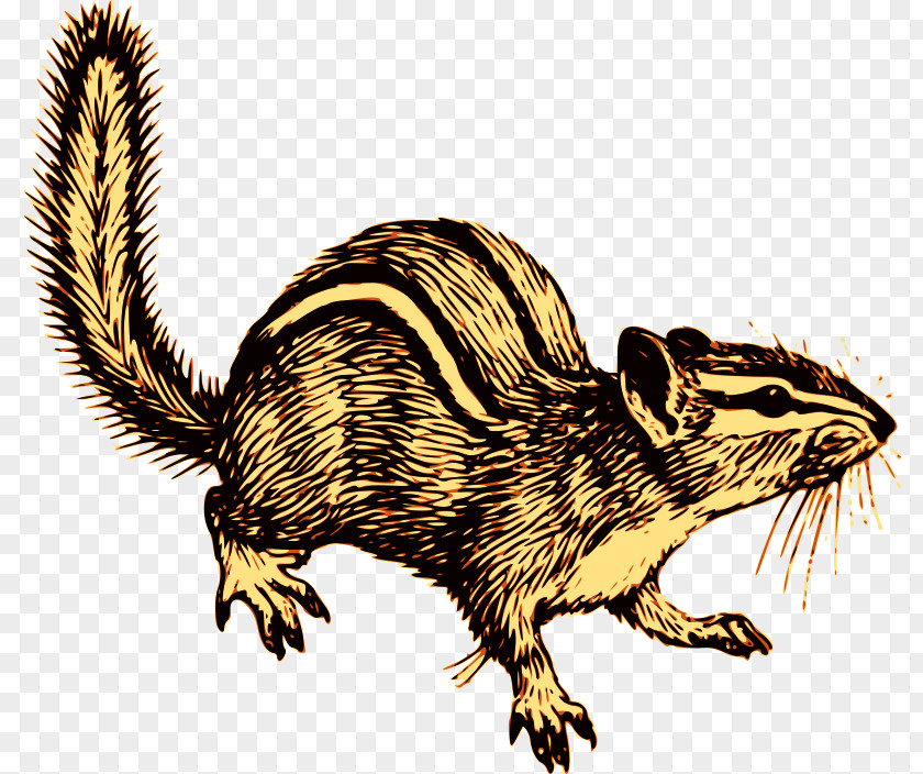 Squirrel Chipmunk Alvin Seville Rodent Clip Art PNG