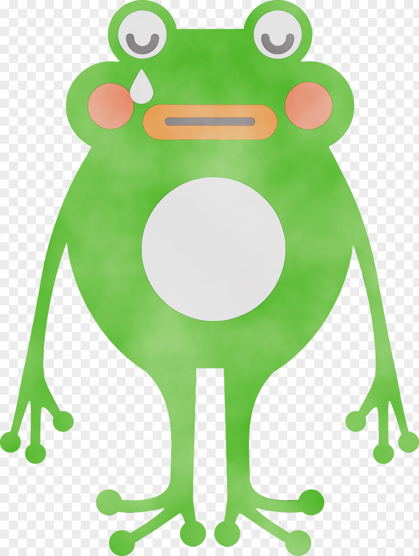 Tree Frog Cartoon Frogs Toad Green PNG
