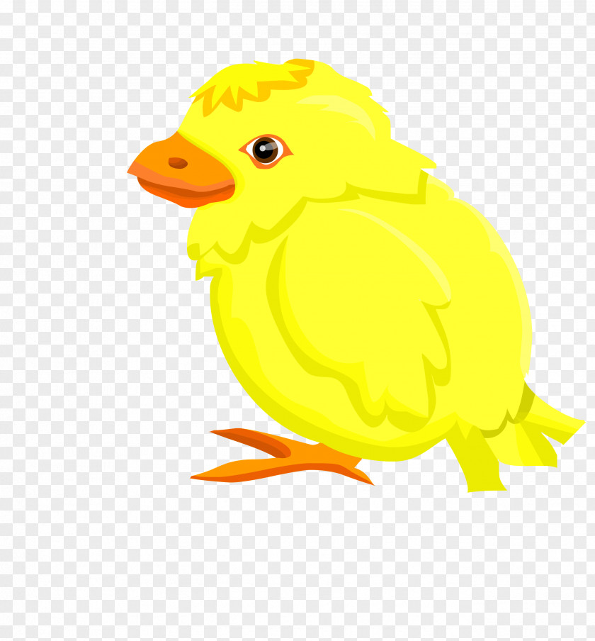 Vector Yellow To The Left Standing Bubble Chick Chicken PNG