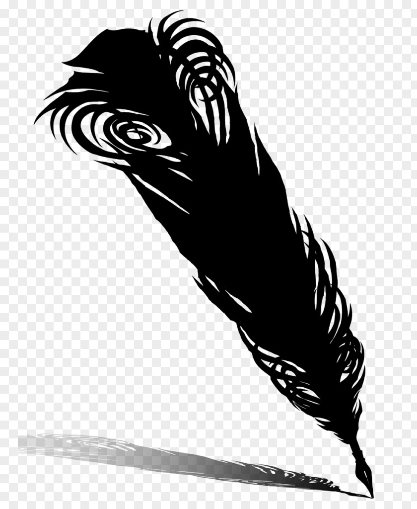 Clip Art Feather Image Vector Graphics PNG
