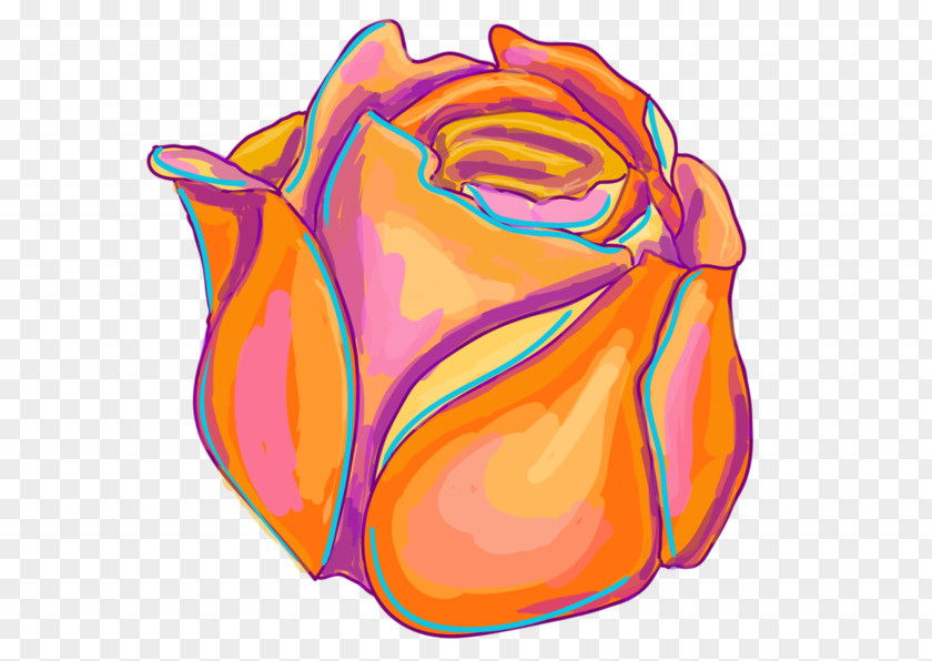 Drawing Flower PNG