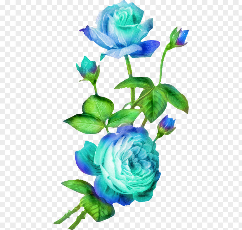 Flower Cut Flowers Rose Clip Art PNG