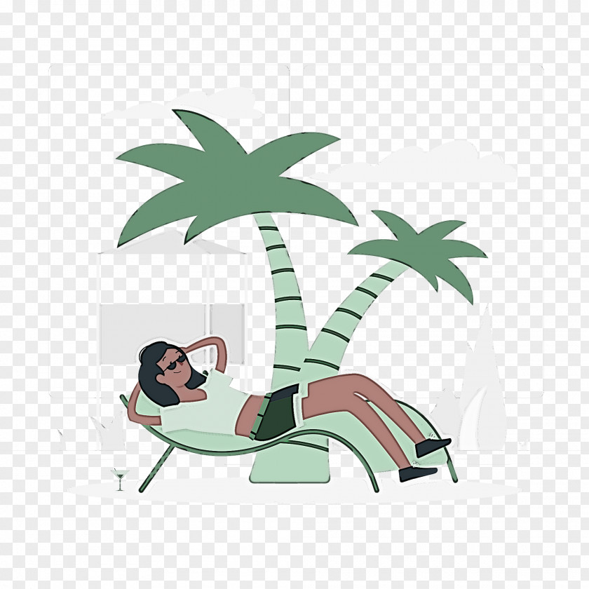 Palm Trees PNG