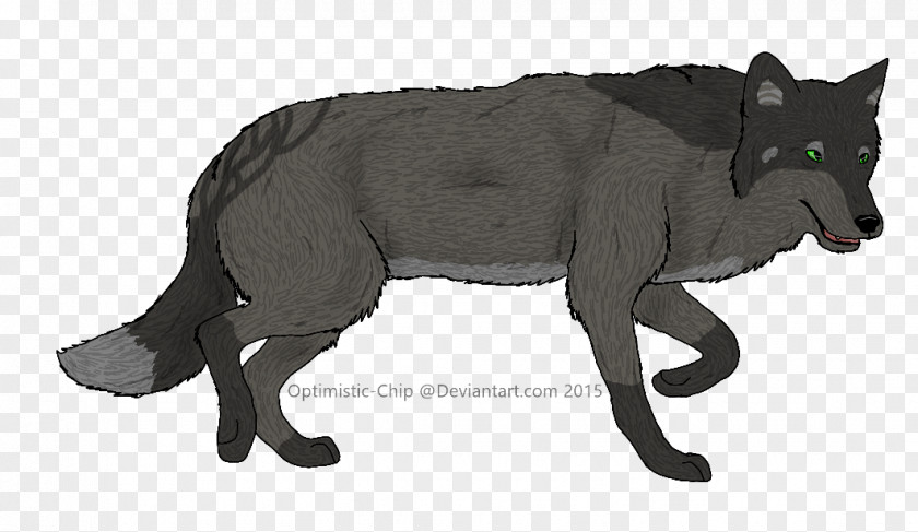 Penut Gray Wolf Fauna Fur Snout Wildlife PNG