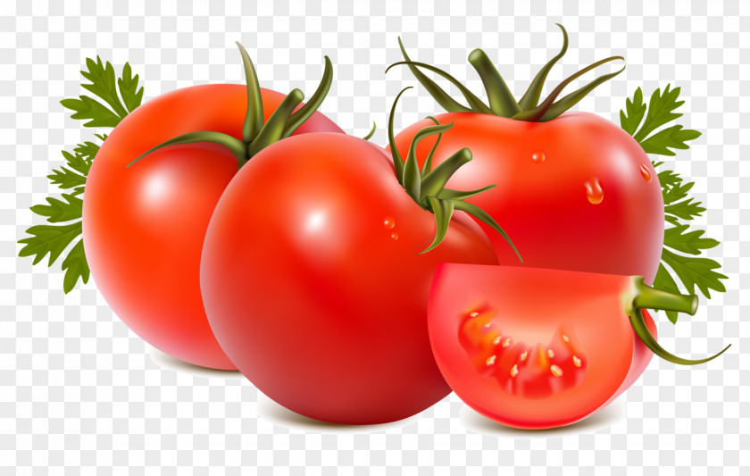 Tomato Roma Food Beefsteak Clip Art PNG