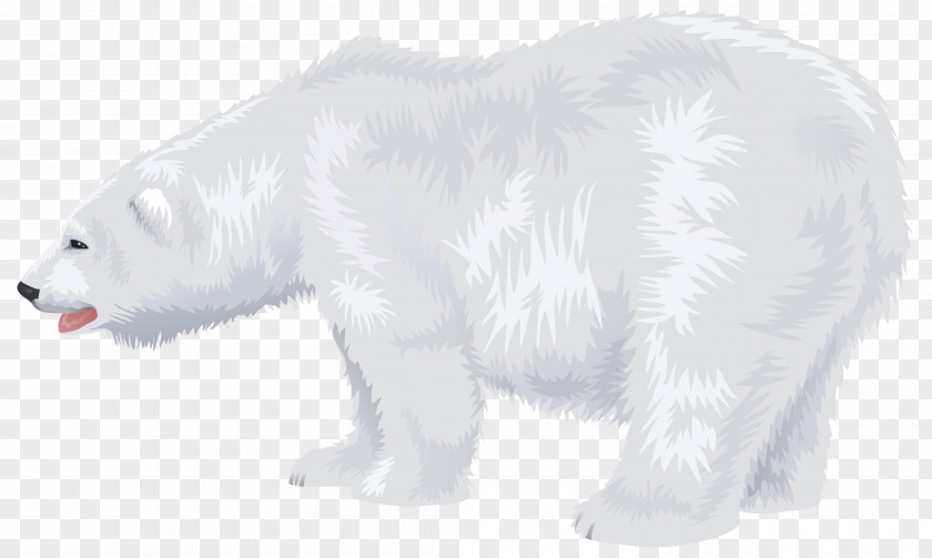White Polar Bear Transparent Clip Art Image Cuteness North Pole PNG