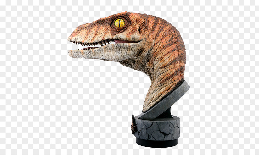 Youtube Velociraptor The Lost World Bust Tyrannosaurus YouTube PNG