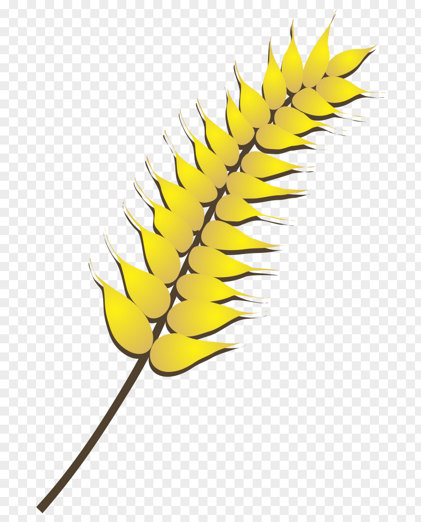 Arabesco Wheat PNG