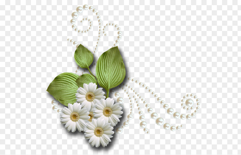 Jewellery Cut Flowers PNG