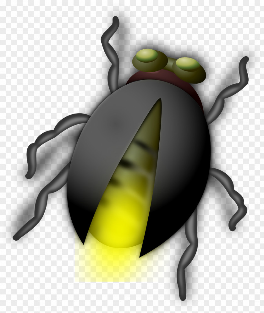 Black Firefly Beetle Clip Art PNG