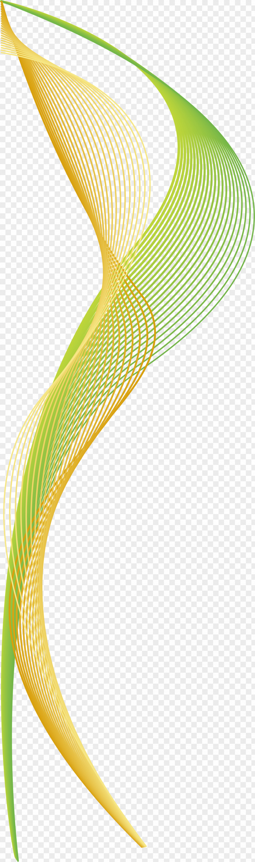Green Line Curve Euclidean Vector Arc PNG