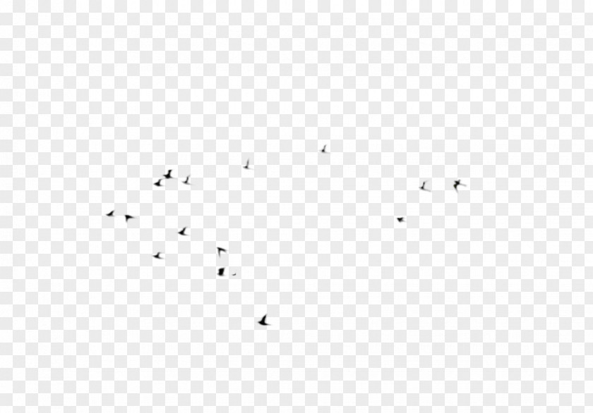 Flock Of Birds Point Angle Font Sky Plc PNG