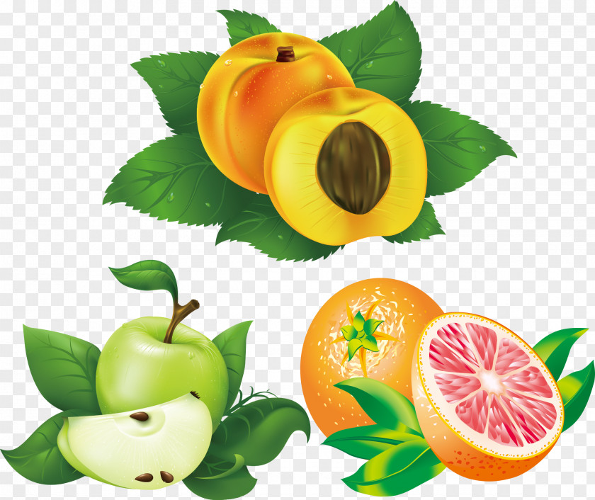 Green Leaves Lemon Peach Apple Fruit Apricot Illustration PNG