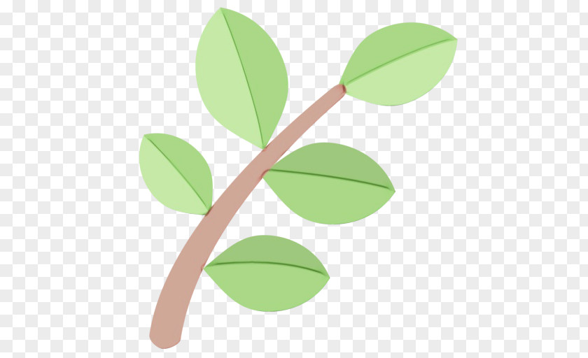 Plant Stem Branch Leaf Green Flower Tree PNG