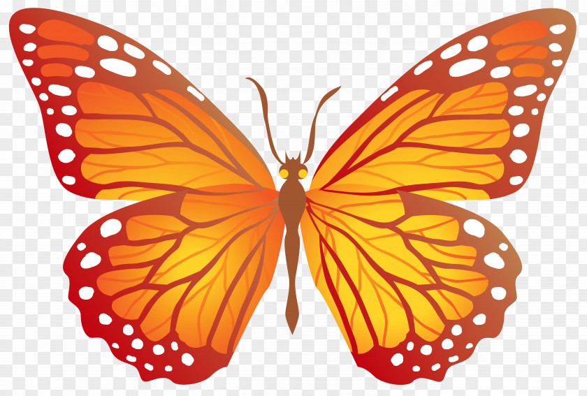 Red Butterfly Clip Art PNG