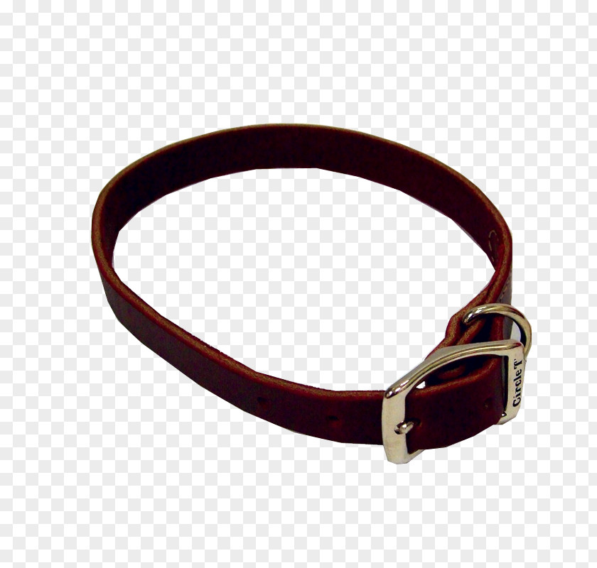 Red Collar Dog Belt Buckles PNG