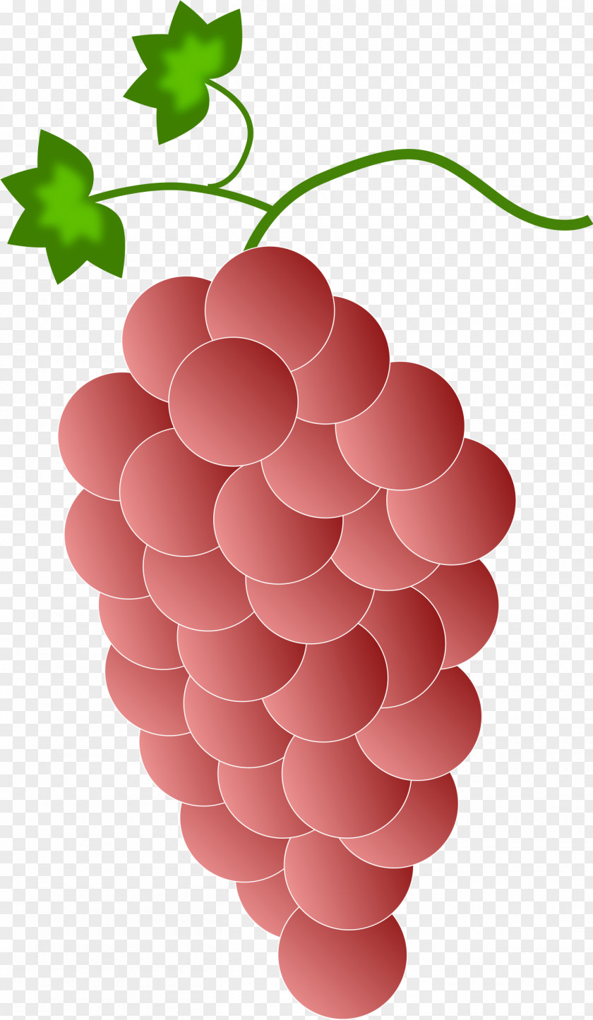 Red Grapes Cliparts Wine Common Grape Vine Purple Clip Art PNG