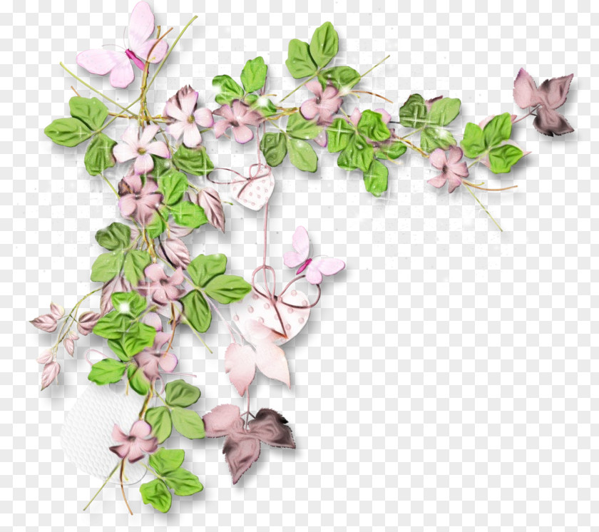 Arctostaphylos Petal Cherry Blossom Background PNG