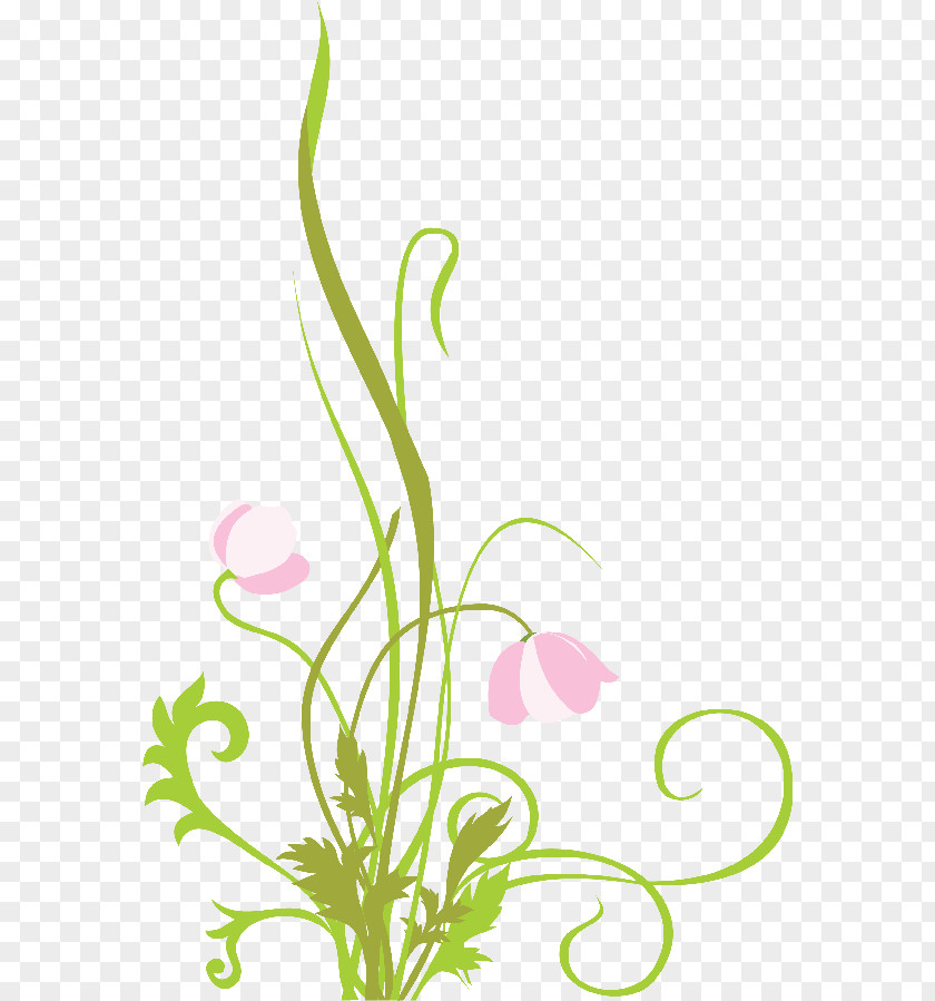 Design Floral Flower Painting Art PNG