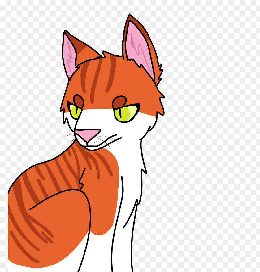 Kitten Whiskers Domestic Short-haired Cat Red Fox PNG