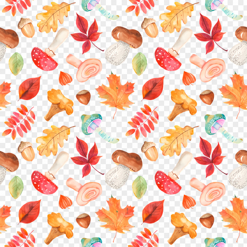 Leaf Petal Pattern Plants Science PNG