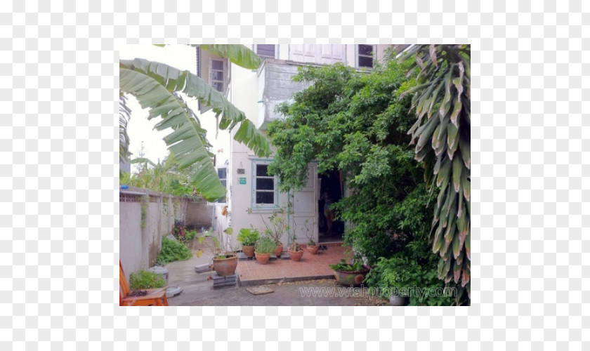 Tree Property Backyard Courtyard By Marriott PNG