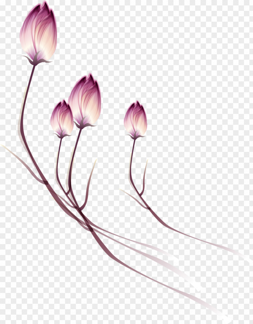 Wild Flowers Flower Tulip Purple Clip Art PNG