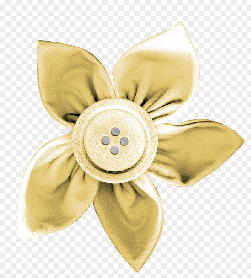 Yellow Buttons Button Icon PNG