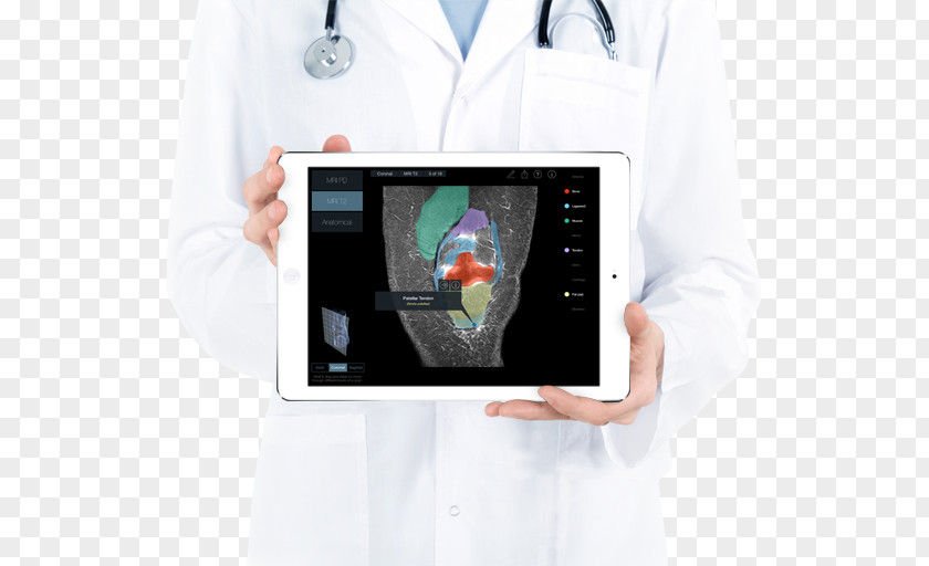 Doctor With Ipad The Skeletal And Muscular Systems Human Anatomy: Skeleton Body PNG