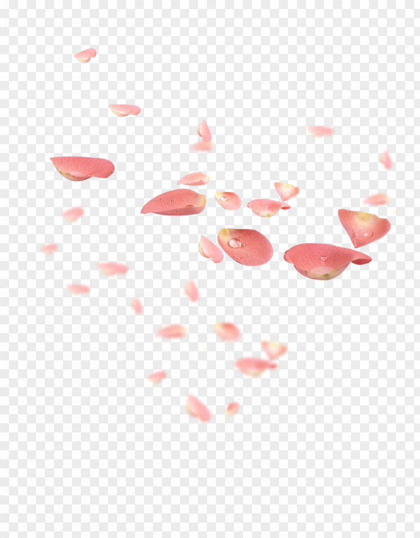 Falling Petals Petal Pink Flower Red PNG