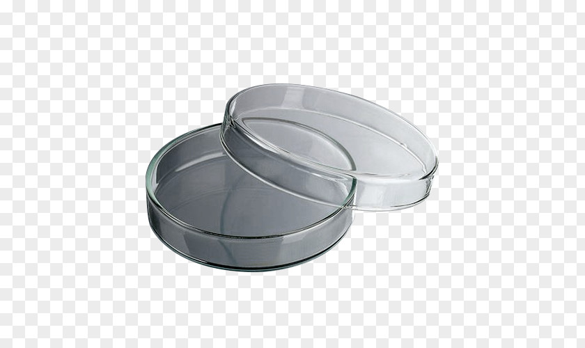 Glass Petri Dishes Laboratory Glassware Box PNG