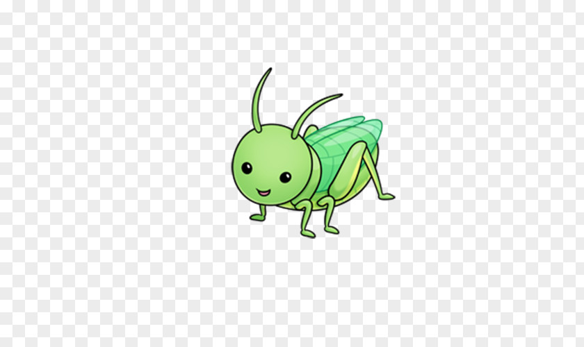 Insect Grasshopper Cricket Cuteness Clip Art PNG