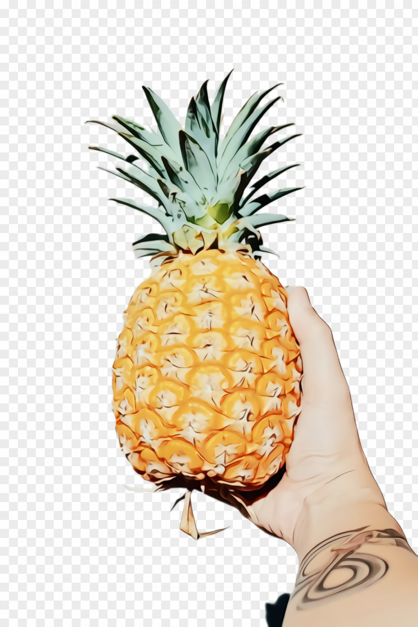 Orange Yellow Pineapple PNG