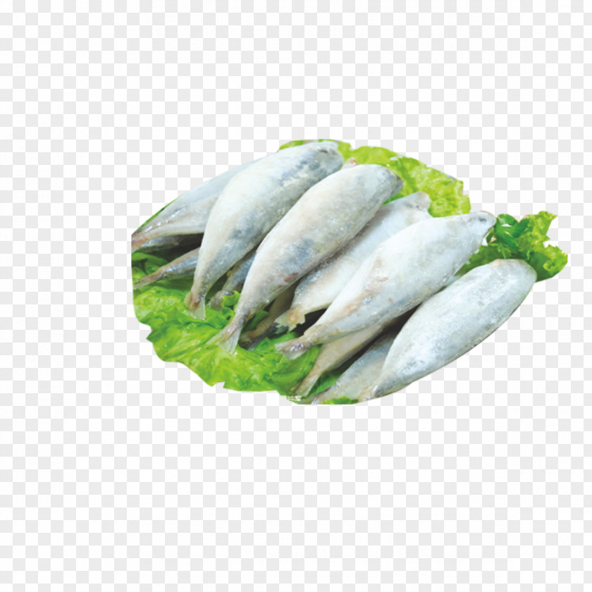 Raw Fish Finger Slice Mackerel Sardine Products PNG