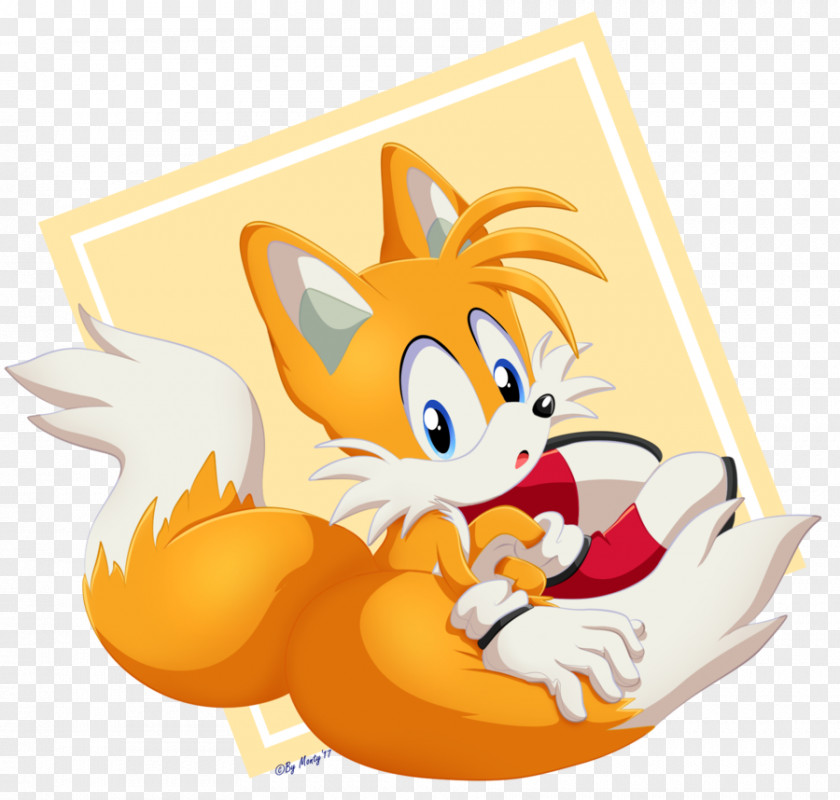 Tails Sonic Heroes Whiskers PNG