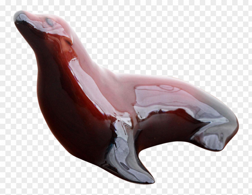 Dolphin Jaw PNG