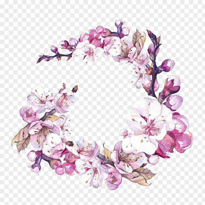 Pear Wreath Picture Material Watercolor Painting Flower Art Cherry Blossom PNG