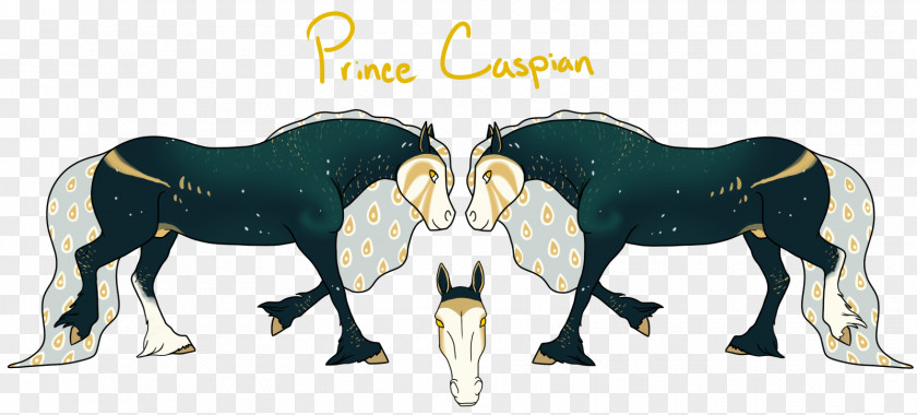 Prince Caspian Mustang Foal Mare Stallion Rein PNG