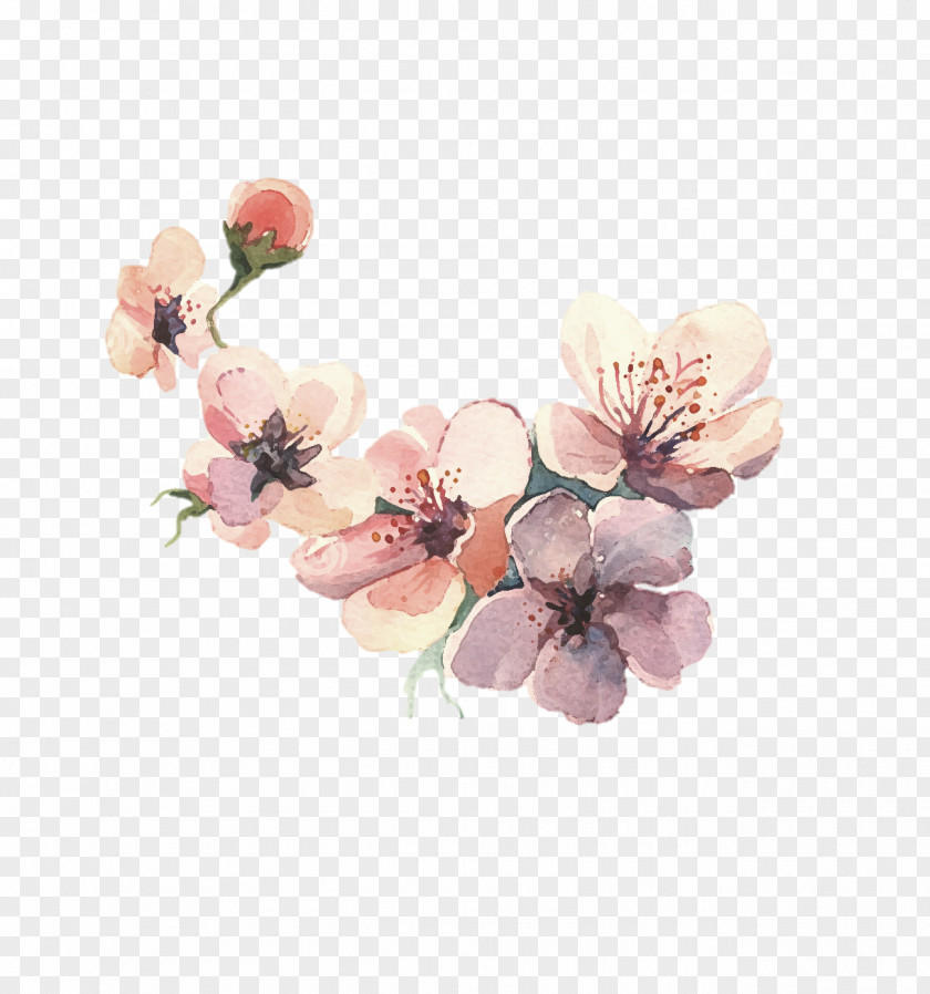 Water Color Flower Watercolor Painting Drawing PNG