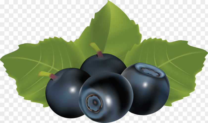 Blueberry Bilberry Grape Food Huckleberry PNG