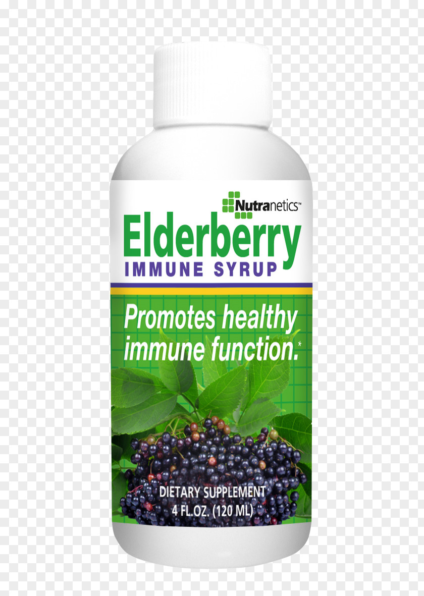 Elderberries Superfood Hare Honda PNG