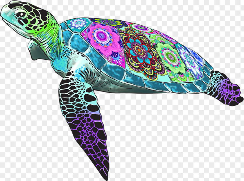 Fancy Fish Loggerhead Sea Turtle Blob Farley A Grand Quest Binary Large Object PNG