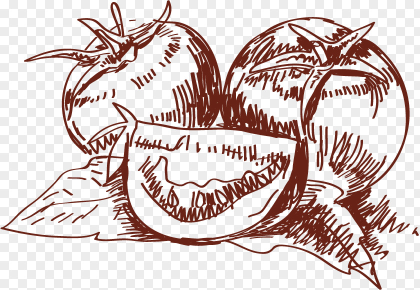 Tomatoes Sketch Cherry Tomato Vegetable Drawing PNG