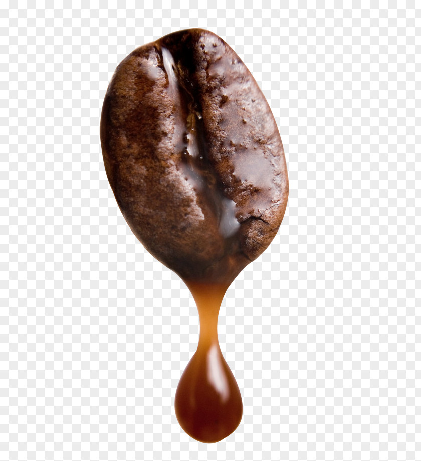 Walnut Meat Arabica Coffee Cafe Robusta Bean PNG