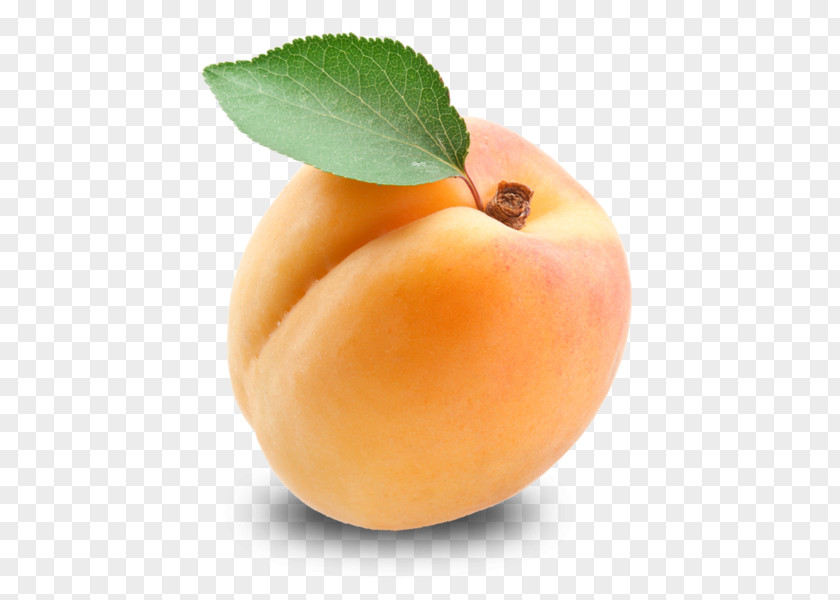 Apricot Kernel Fruit Amygdalin PNG
