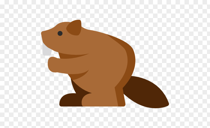 Beaver Canidae Rat PNG
