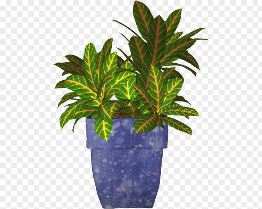 Plants Clip Art Flowerpot Vector Graphics Image PNG