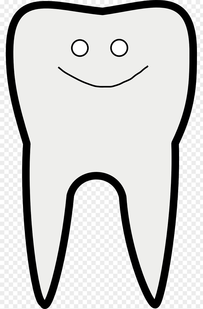 Teeth Human Tooth Dentistry Clip Art PNG