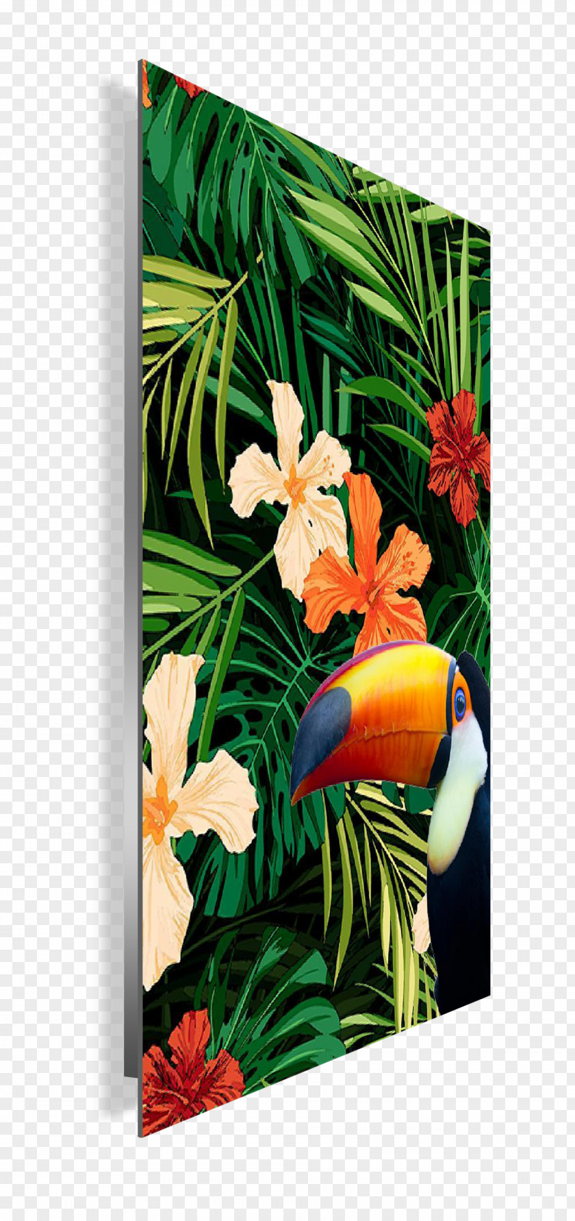Tropical Collection Floral Design Picture Frames Modern Art PNG