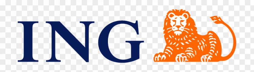 Bank ING Group ING-DiBa A.G. Business Financial Services PNG